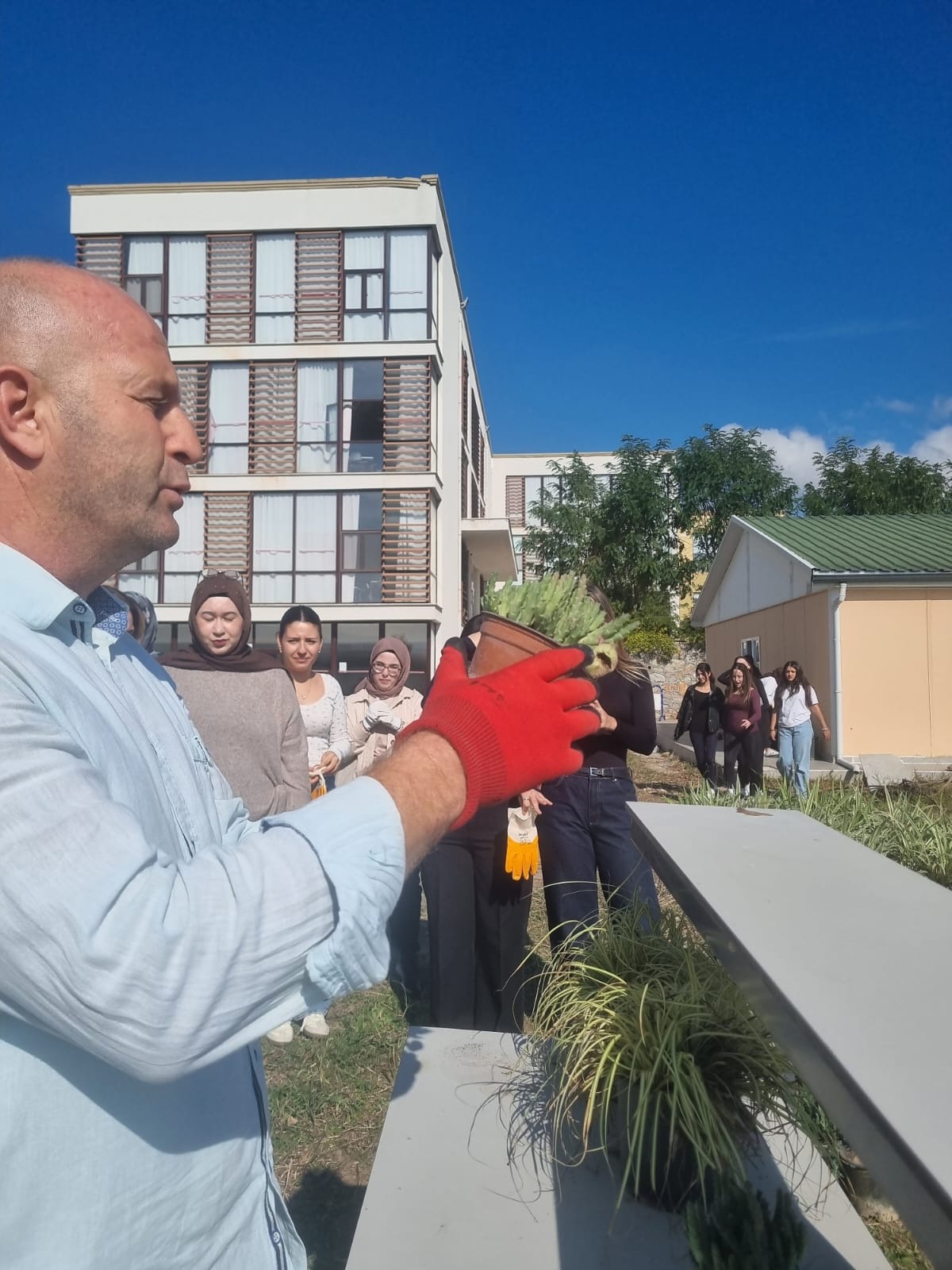 Sera Uygulaması Etkinliği